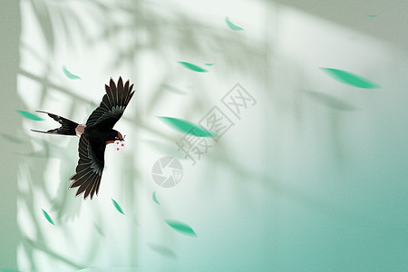 创意光影燕子春天背景图片