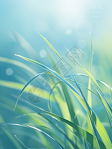 春日嫩绿色的草丛卡通背景背景图片