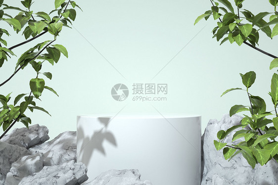 春季植物展台图片