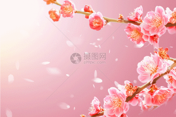 唯美大气创意春天樱花GIF图片