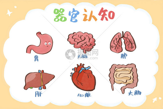 健康教育科普器官认知儿童简笔画图片