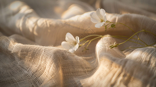 阳光照射有质感的棉麻布上放着一朵小花图片