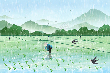 谷雨图片谷雨二十四节气田里插秧插画插画