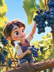 在葡萄园中摘葡萄的卡通小女孩图片