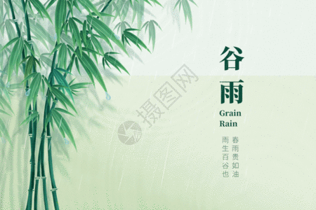 传统花纹谷雨简洁大气创意竹子GIF高清图片