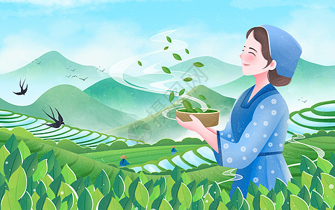 谷雨春天插画茶园采茶女图片