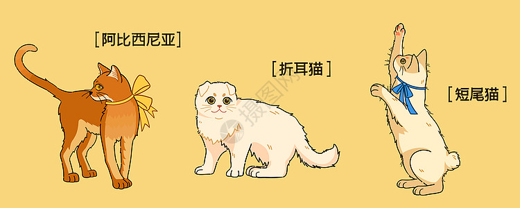 萌宠可爱三只猫咪插画高清图片