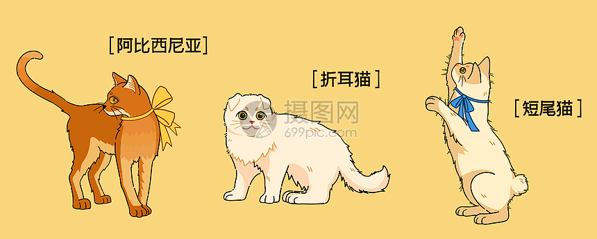 萌宠可爱三只猫咪插画图片