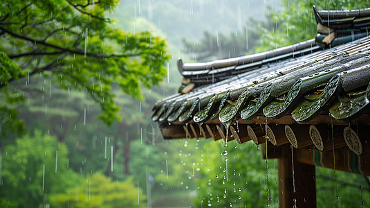 大雨中绿树下精致的卡通屋顶高清图片