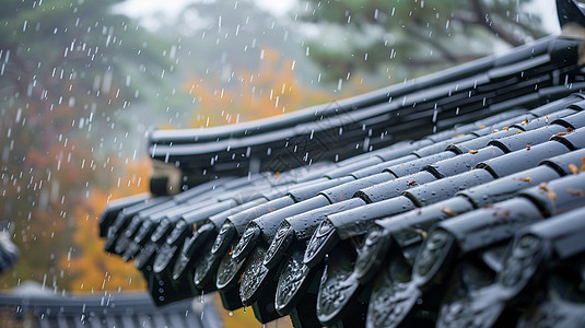 雨中青瓦古风特写图片