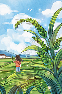 手绘水彩之小满节气麦子和女孩遥望远方插画图片