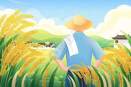 芒种麦田里的农民背影插画海报图片