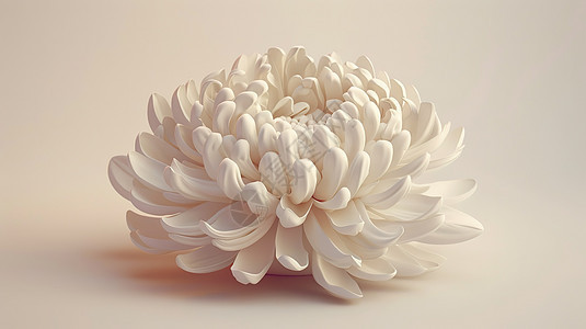 菊花3D图标图片