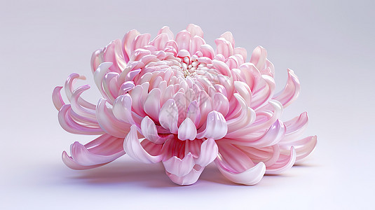 菊花3D图标图片