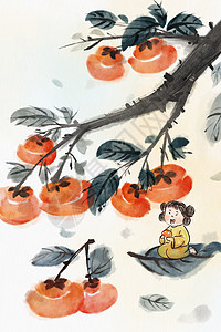手绘水墨秋季水果之柿子插画图片