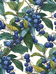 郁郁葱葱的上结满了蓝莓图片