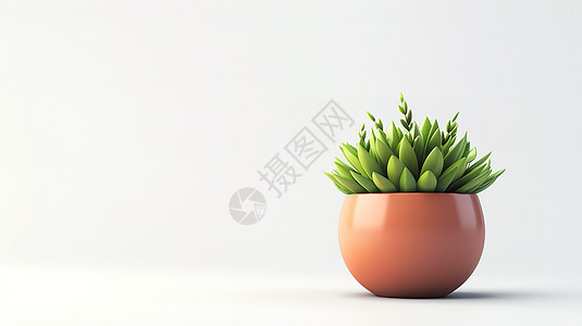 盆栽3D图标图片