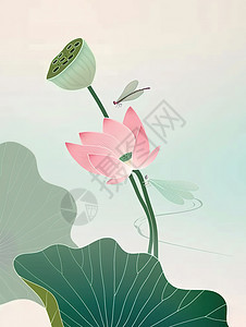 一株美丽荷花蜻蜓插画图片