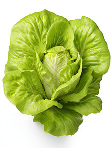 绿色蔬菜青菜图片