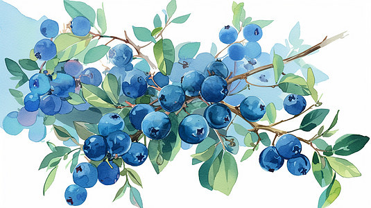 树枝上清新水彩风卡通蓝莓图片
