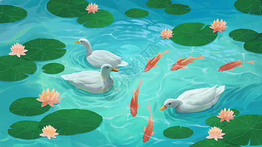 夏日池塘里的鸭子与金鱼图片