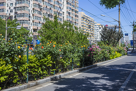 清凉一夏背景