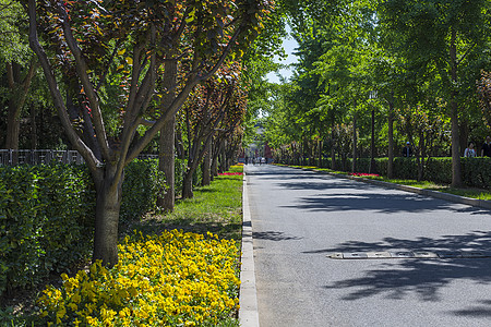 街景马路远景高清图片