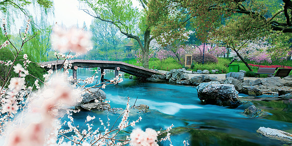杭州太子湾公园背景图片