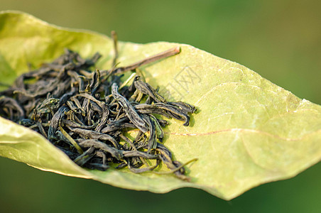 雾芽 茶叶绿茶干叶高清图片