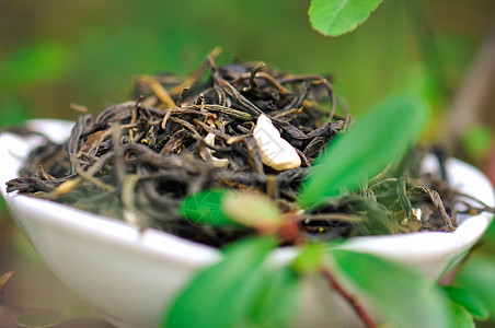 绿茶嫩芽干茶茉莉花绿茶背景