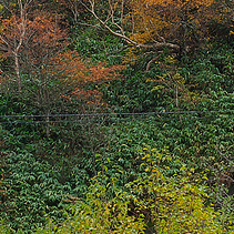 圣诞故事小铃铛讲故事背景音乐