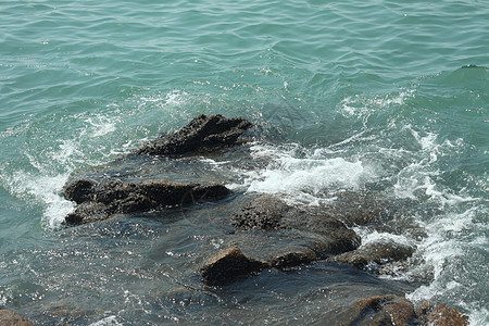 海螃蟹枸杞岛、海边背景