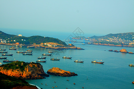 海螃蟹枸杞岛、海边背景