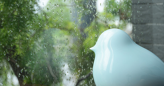 窗外的雨忧郁的鸟背景