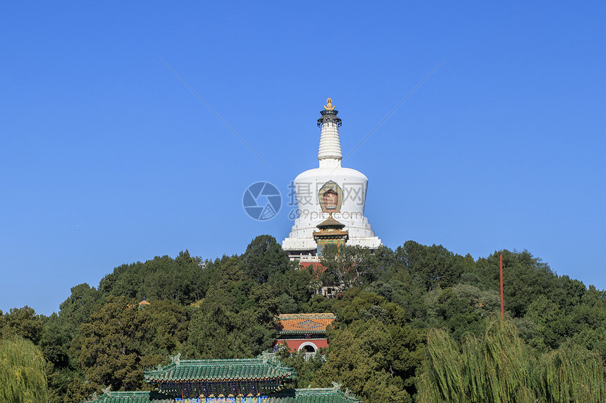 北海公园白塔柳树成荫图片