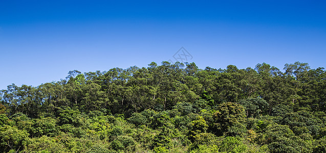 地理环境深圳·马峦山背景