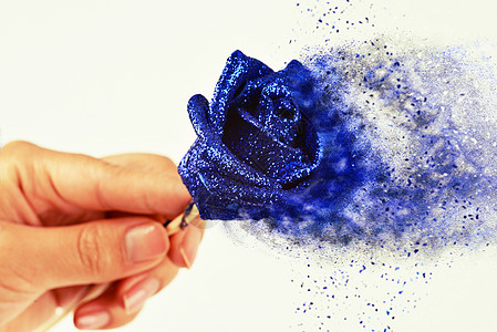 蓝色妖姬消散玫瑰高清图片