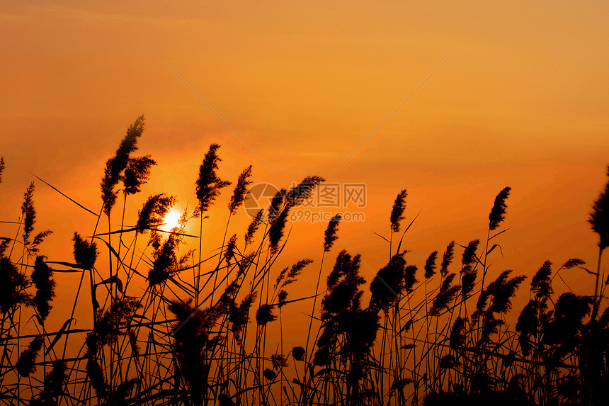 夕阳图片