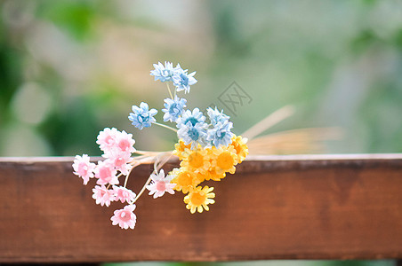 小蜡菊蓝色木盒与黄花高清图片