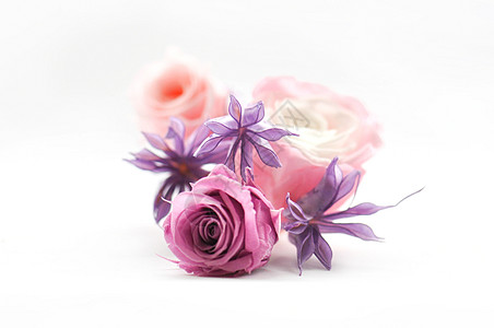 彩色玫瑰花鲜花DIY高清图片