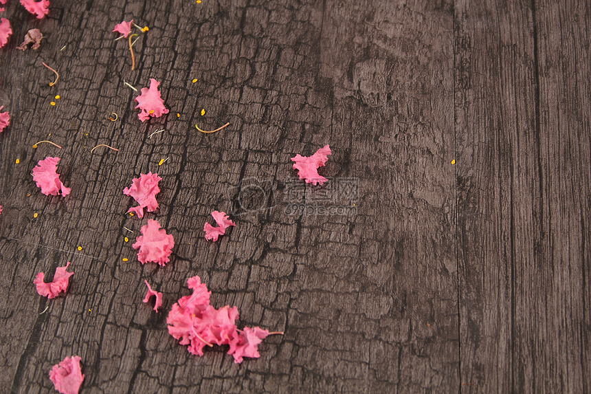 花瓣和木质纹理图片