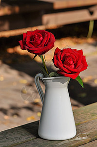 花瓶中的玫瑰花高清图片