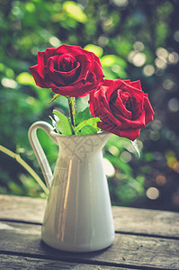 白色瓷器中的玫瑰花高清图片