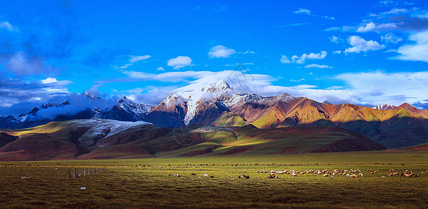 风景山水西藏羊八井背景