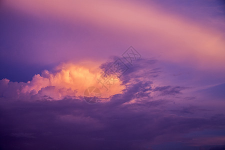 紫罗兰的云图片