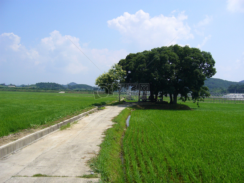 唯美图片 自然风景 乡间田园jpg