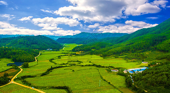 云南旅游素材生态山谷森林航拍背景