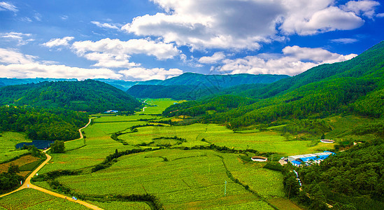 生态山谷森林航拍背景图片