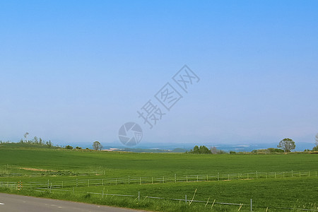 北海道远眺稻田群山与天空图片