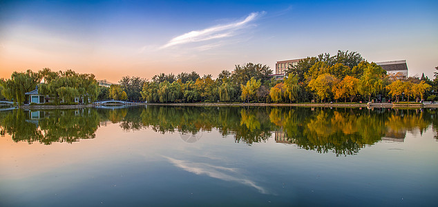 秋景图片